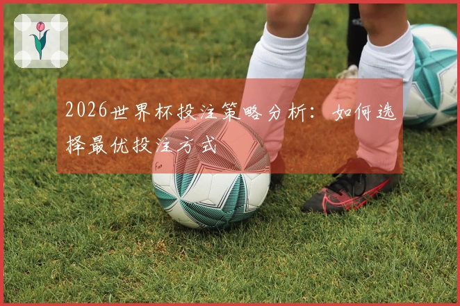2026世界杯投注策略分析：如何选择最优投注方式