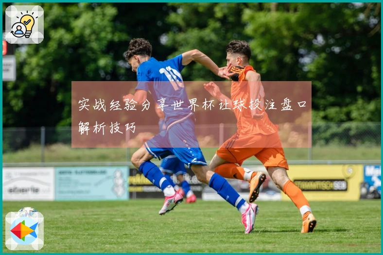 实战经验分享世界杯让球投注盘口解析技巧