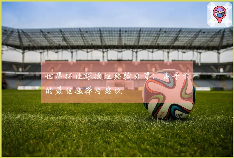 世界杯让球投注经验分享：高手们的最佳选择与建议