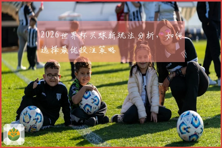 2026世界杯买球新玩法分析，如何选择最优投注策略