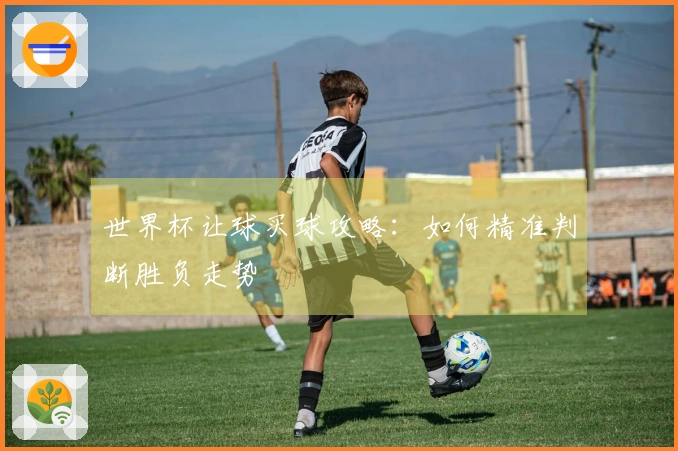 世界杯让球买球攻略：如何精准判断胜负走势