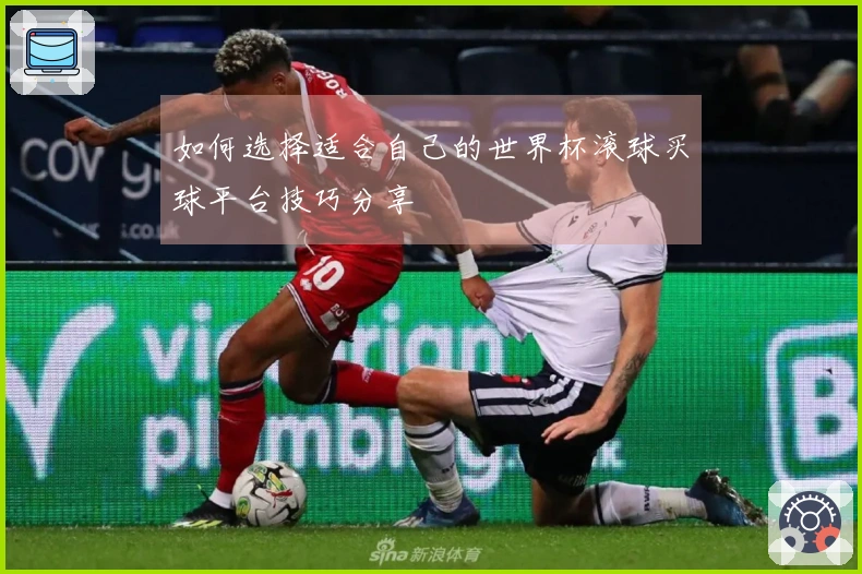 如何选择适合自己的世界杯滚球买球平台技巧分享