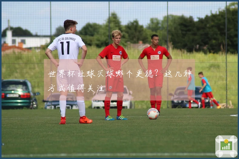 世界杯让球买球哪个更稳？这几种方式值得关注