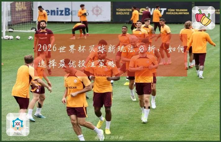 2026世界杯买球新玩法分析，如何选择最优投注策略